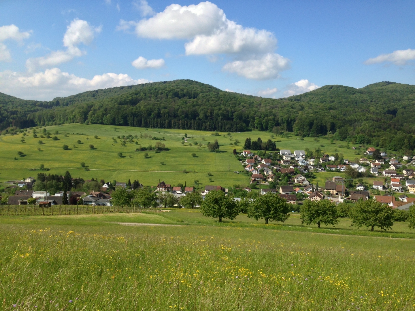Zeiningen Frick / Fricktalerhöhenweg Kaufmann WanderBlog