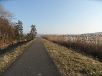 sam_1498