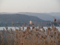 sam_1508