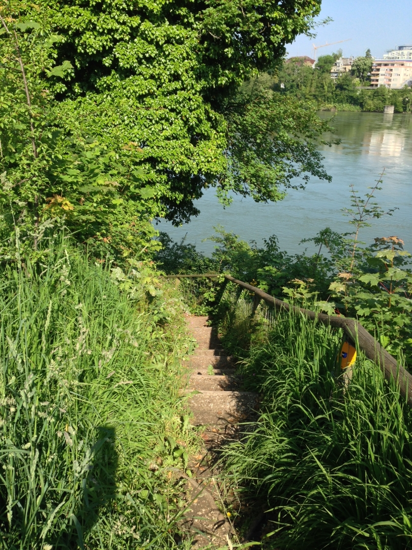 Rheinwanderung Rheinfelden nach Basel Kaufmann WanderBlog