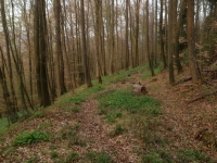 2014-04-01-19-23-37